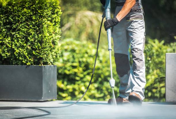 Best Restaurant Pressure Washing  in Pigeon, MI
