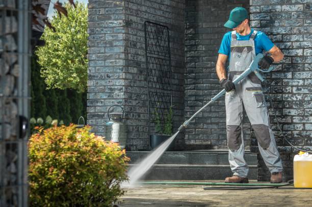 Best Pre-Holiday Cleaning  in Pigeon, MI