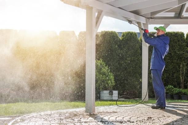 Best Post-Construction Pressure Washing  in Pigeon, MI