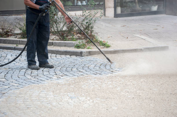 Best Roof Washing  in Pigeon, MI