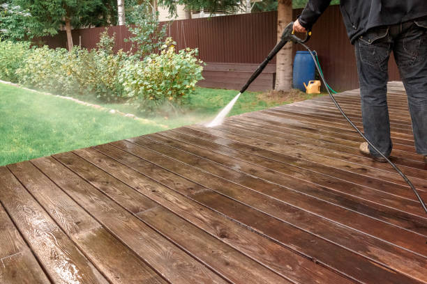 Best Solar Panel Cleaning  in Pigeon, MI