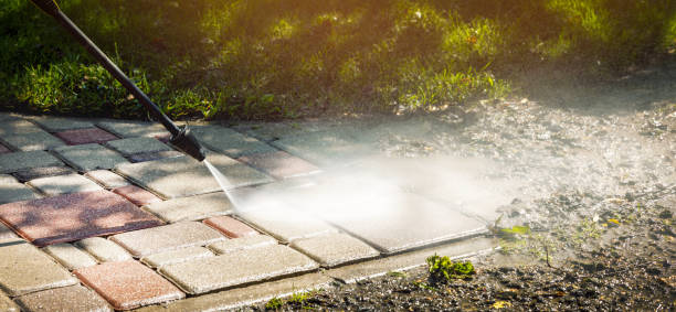 Pre-Holiday Cleaning in Pigeon, MI