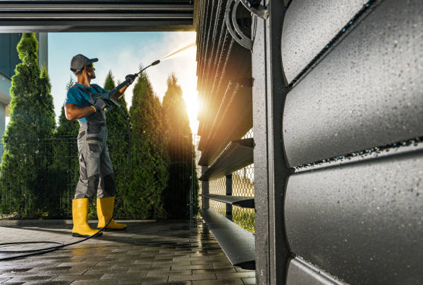 Best Graffiti Removal  in Pigeon, MI
