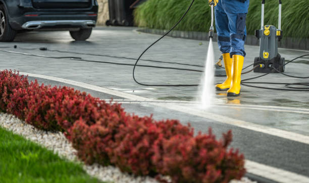Best Soft Washing  in Pigeon, MI